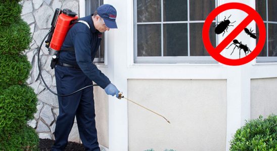 Balatçık Kene İlaçlama böcek ilaçlama ve haşere kontrolü — ilaclama-tr.com